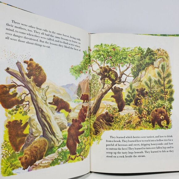 True Story Of Smokey The Bear Big Golden Book 1955 Hardcover - Picture 11 of 16